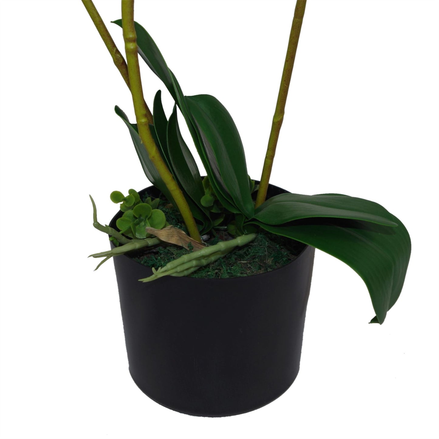 65cm Luxury Artificial Orchid 3 Stems Soft White Plant