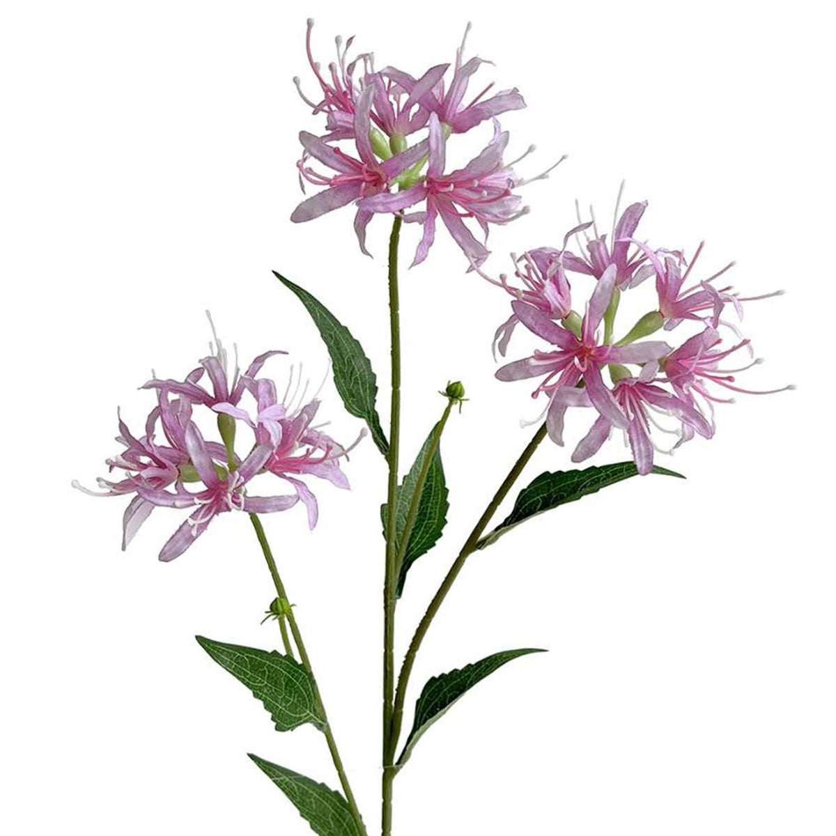 Pack of 6 x 72cm Artificial Pink Spider Lily Stems
