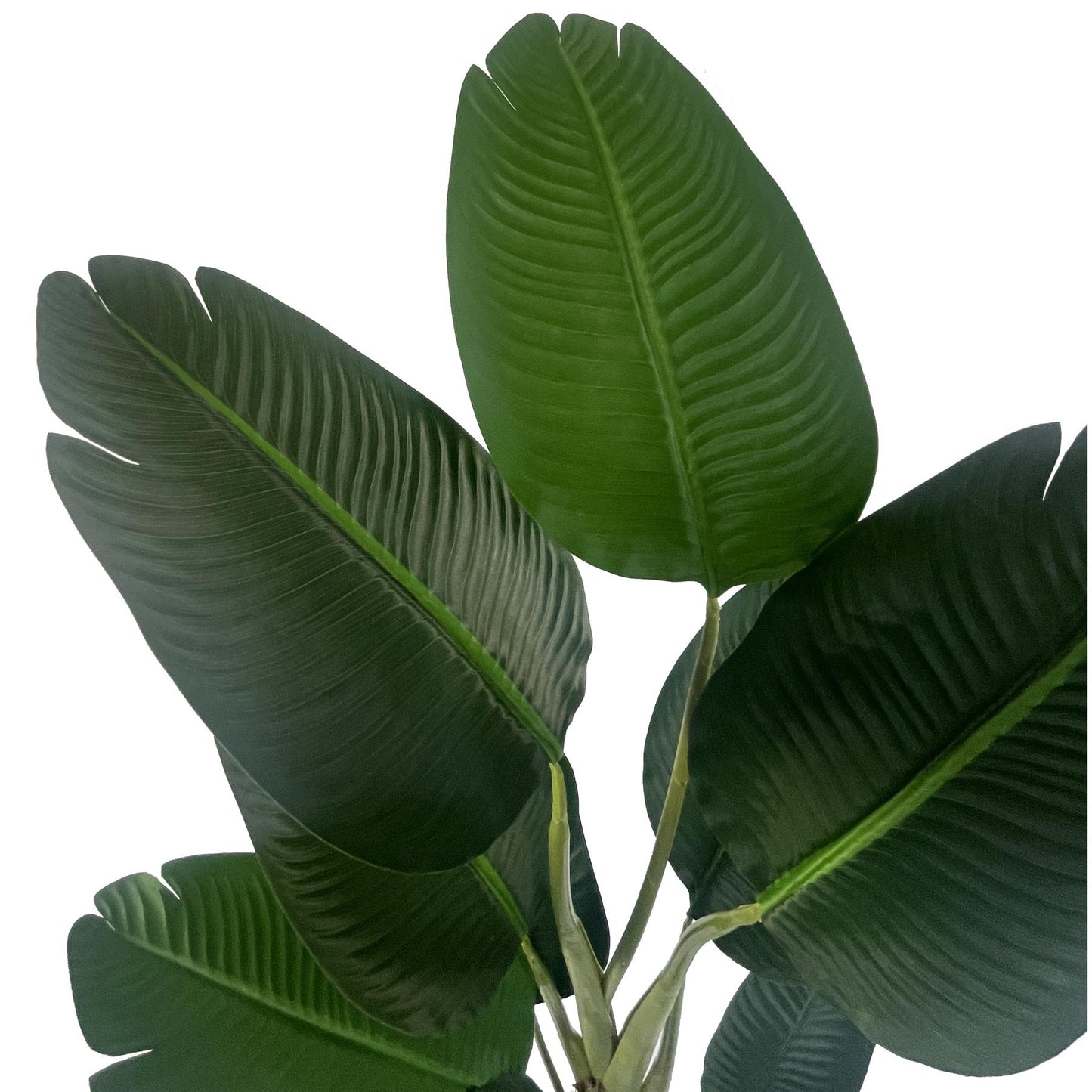 150cm Artificial UV Traveller Banana Palm Tree