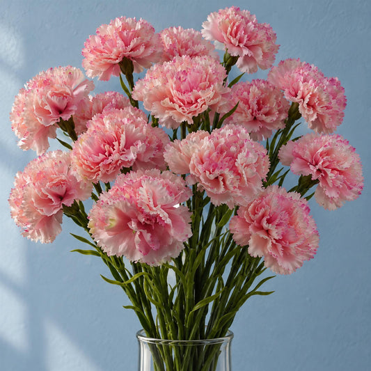 Pack of 12 x 57cm Pink Carnation Artificial Flowers