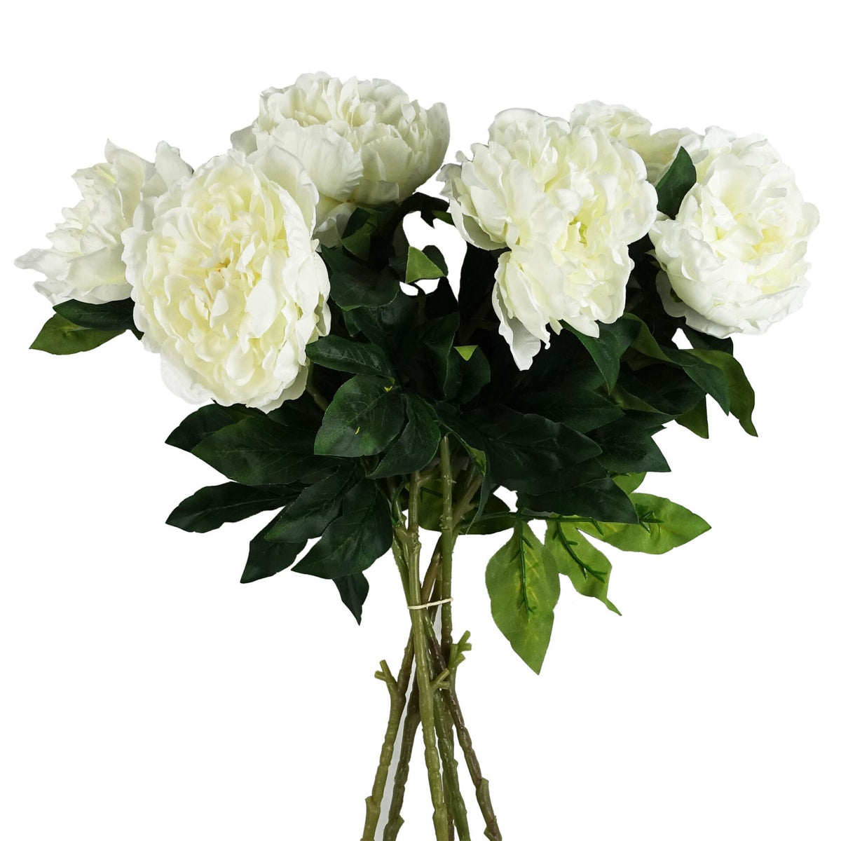 Pack of 6 x 80cm Artificial Cream Peony Stem