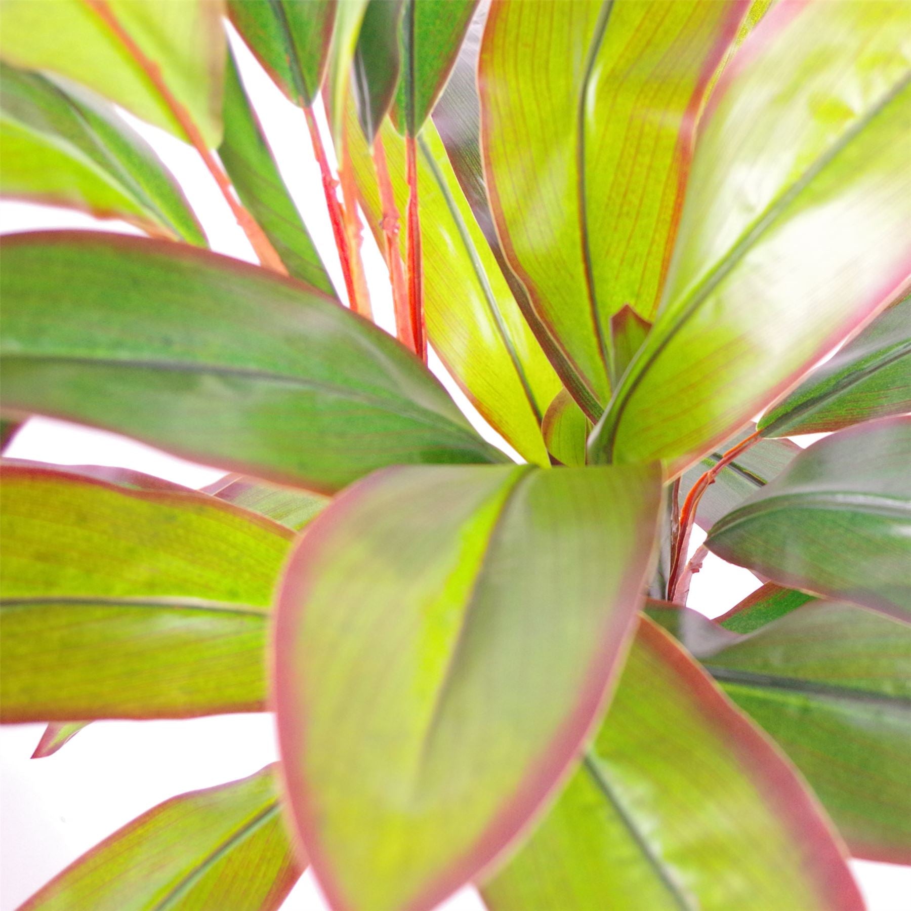 100cm Artificial Potted Dracaena Tropical Plant Copper Metal Plater – image 4