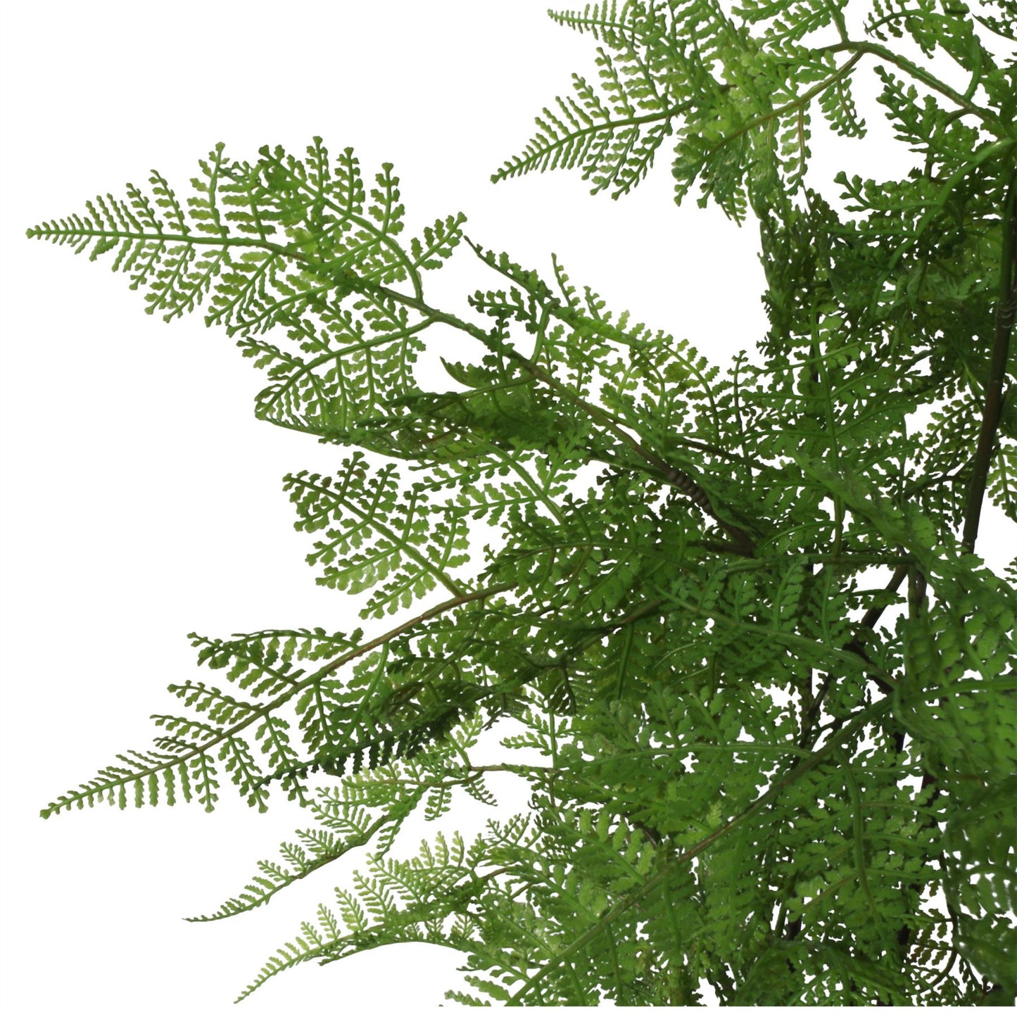 150cm Artificial Moss Base Fern Foliage Plant with Copper Metal Plater