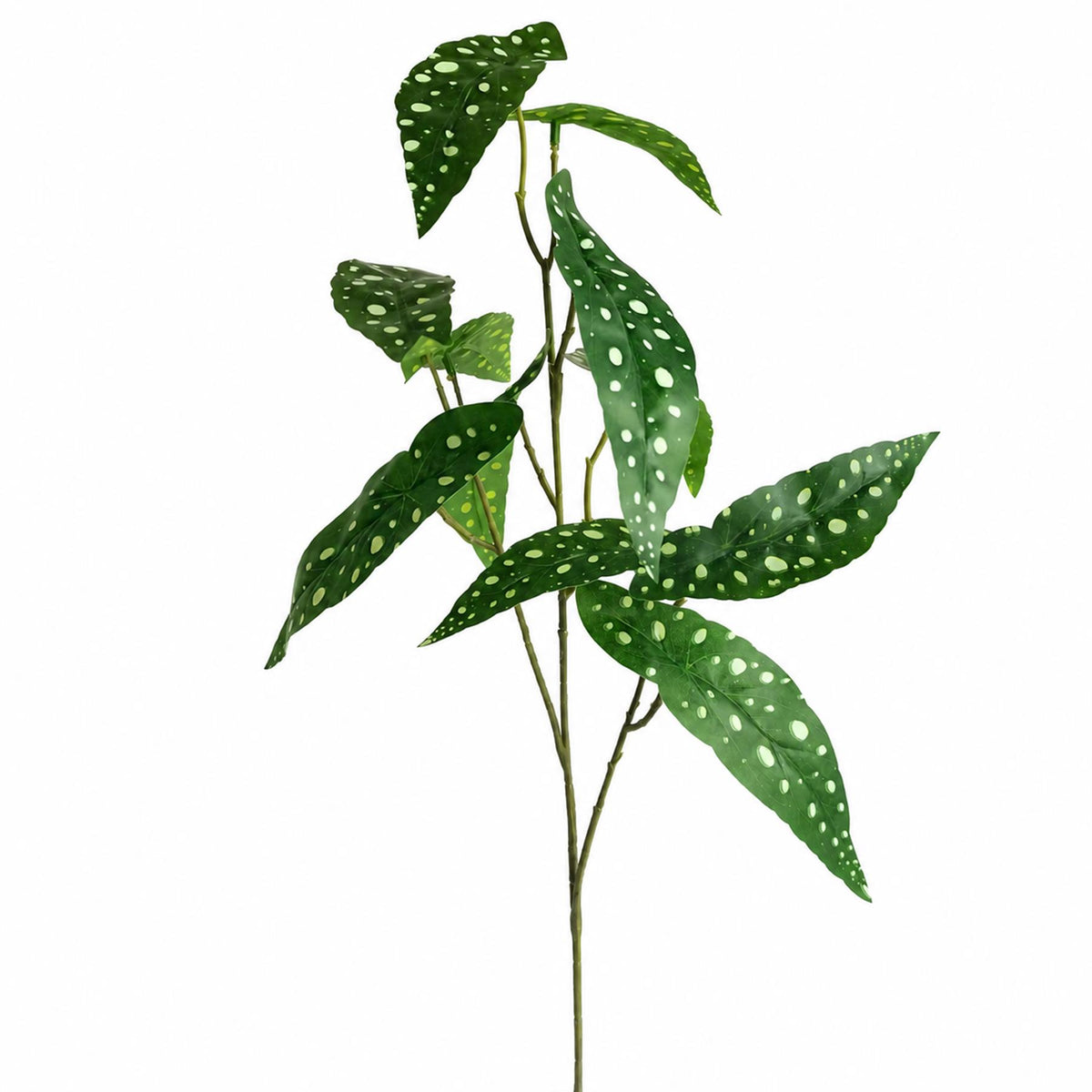 Pack of 6 x 80cm Artificial Begonia Maculata Polka Dot Foliage Stems