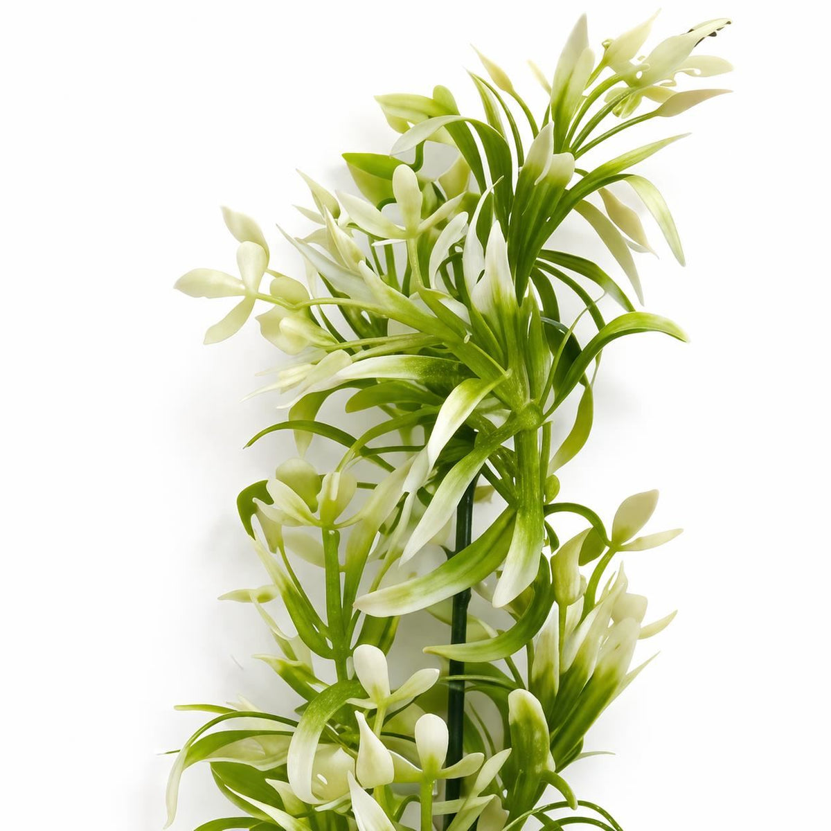 Pack of 6 x 48cm Artificial White Blossom Spray Stem