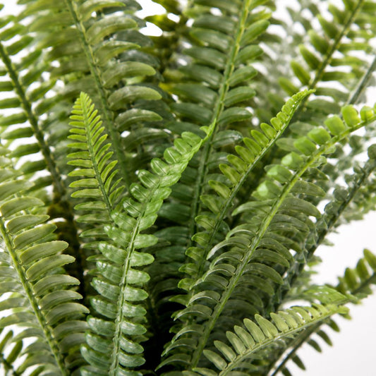 74cm Artificial Fern Plant – image 2