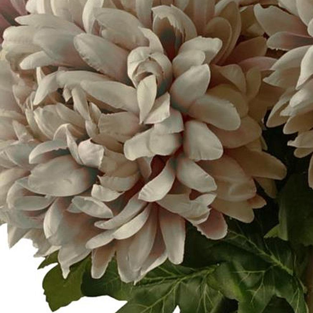Pack of 6 x 75cm Extra Large Reflex Chrysanthemum - Mushroom