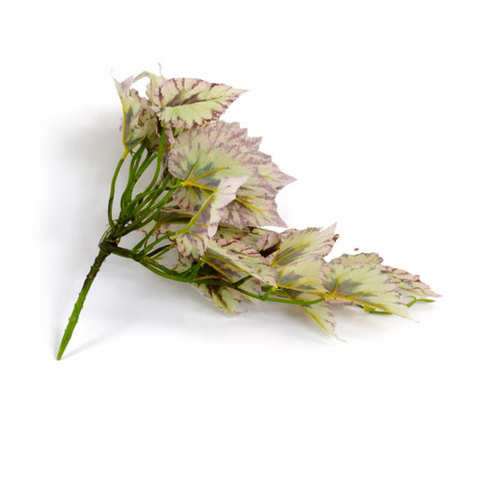 30cm Artificial Trailing Cream and Pink Caladium – image 2