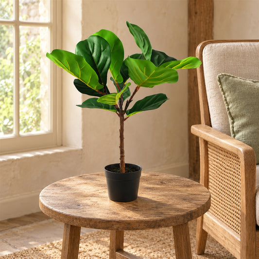 60cm Artificial Fiddle Fig Plant