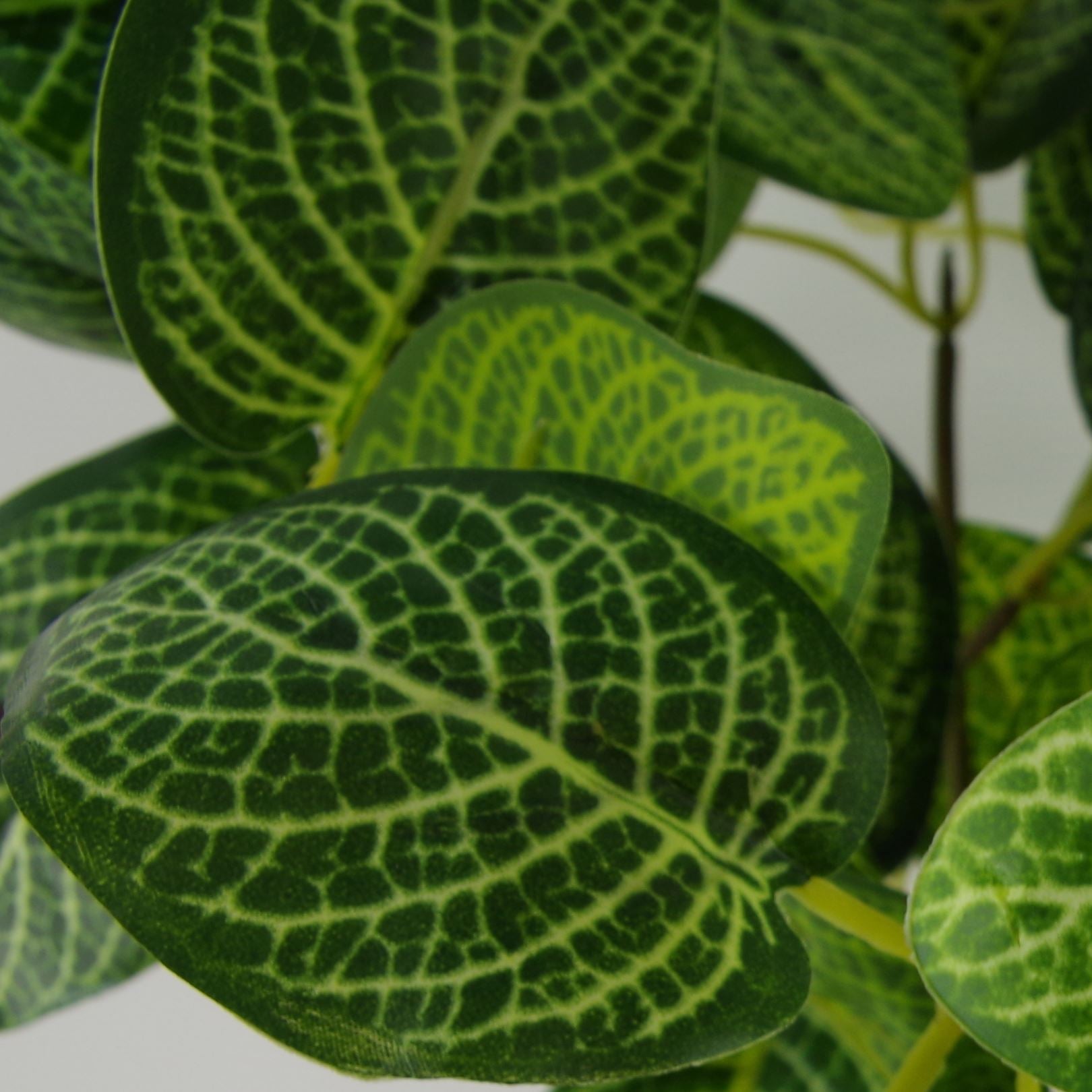 40cm Artificial Variegated Pothos Plant – image 3