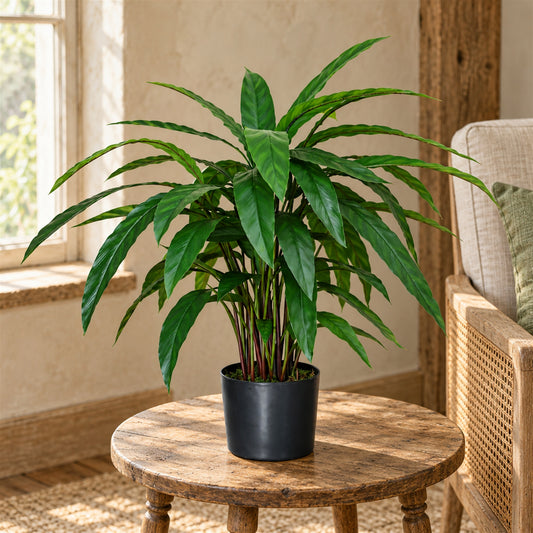 60cm Artificial Calathea Evergreen Plant
