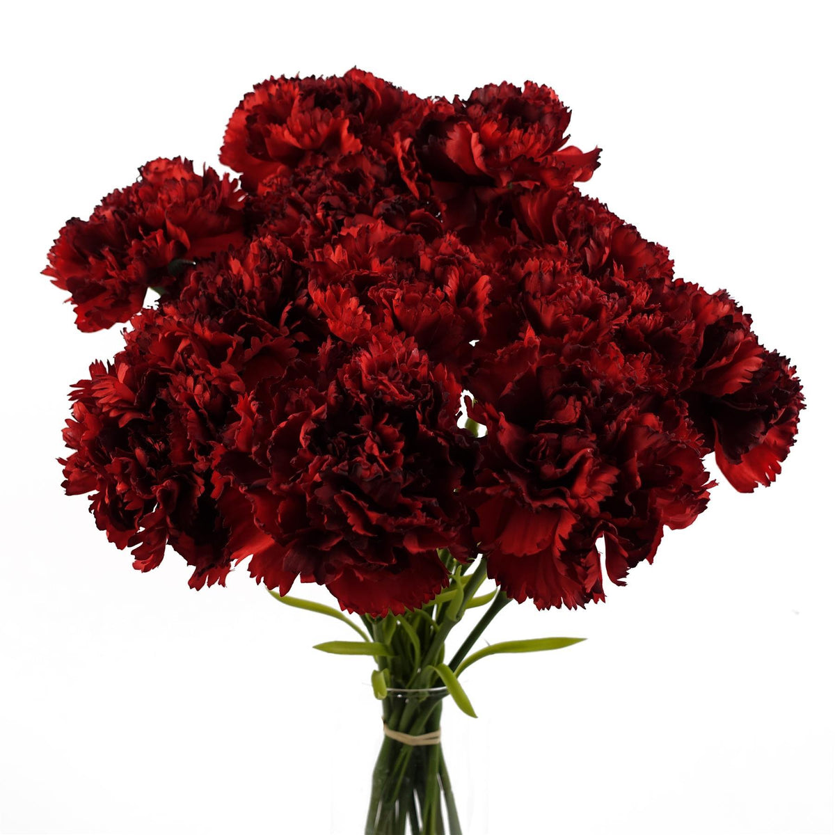 Pack of 6 x 57cm Red Carnation Artificial Flowers