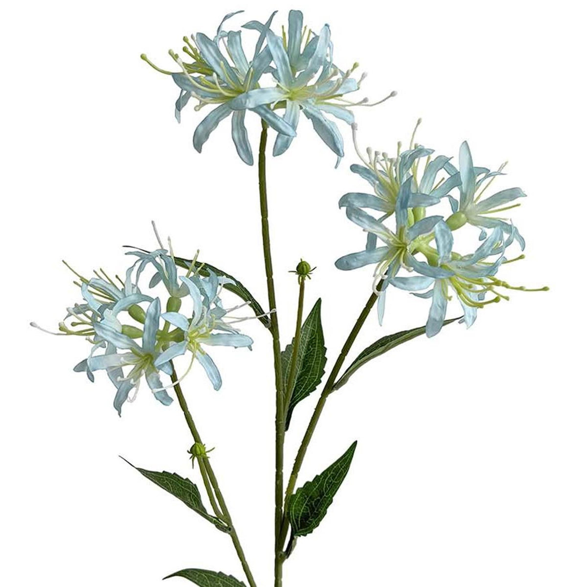 Pack of 6 x 72cm Artificial Light Blue Spider Lily Stems