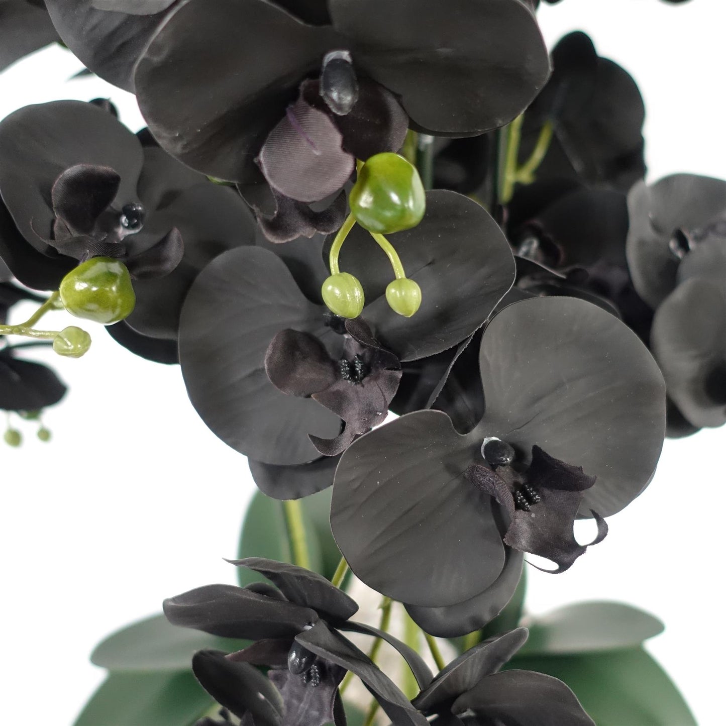 60cm Orchid Artificial Black White Ceramic Planter