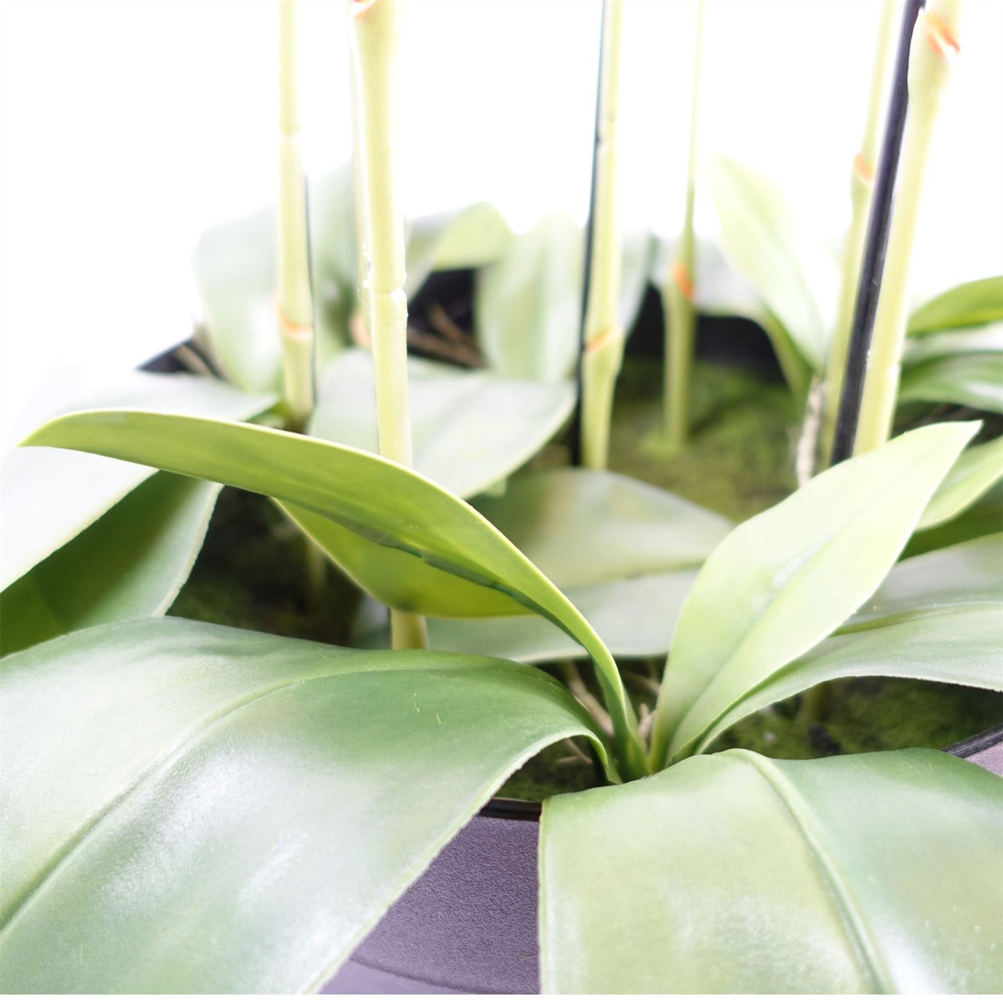 Artificial 110cm Pink Orchid Plant Artifcial 41 REAL TOUCH flowers