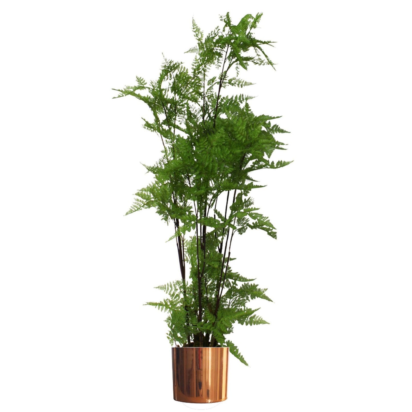 Leaf Planter Plant Pot with Polished Copper Finish 20 x 18cm