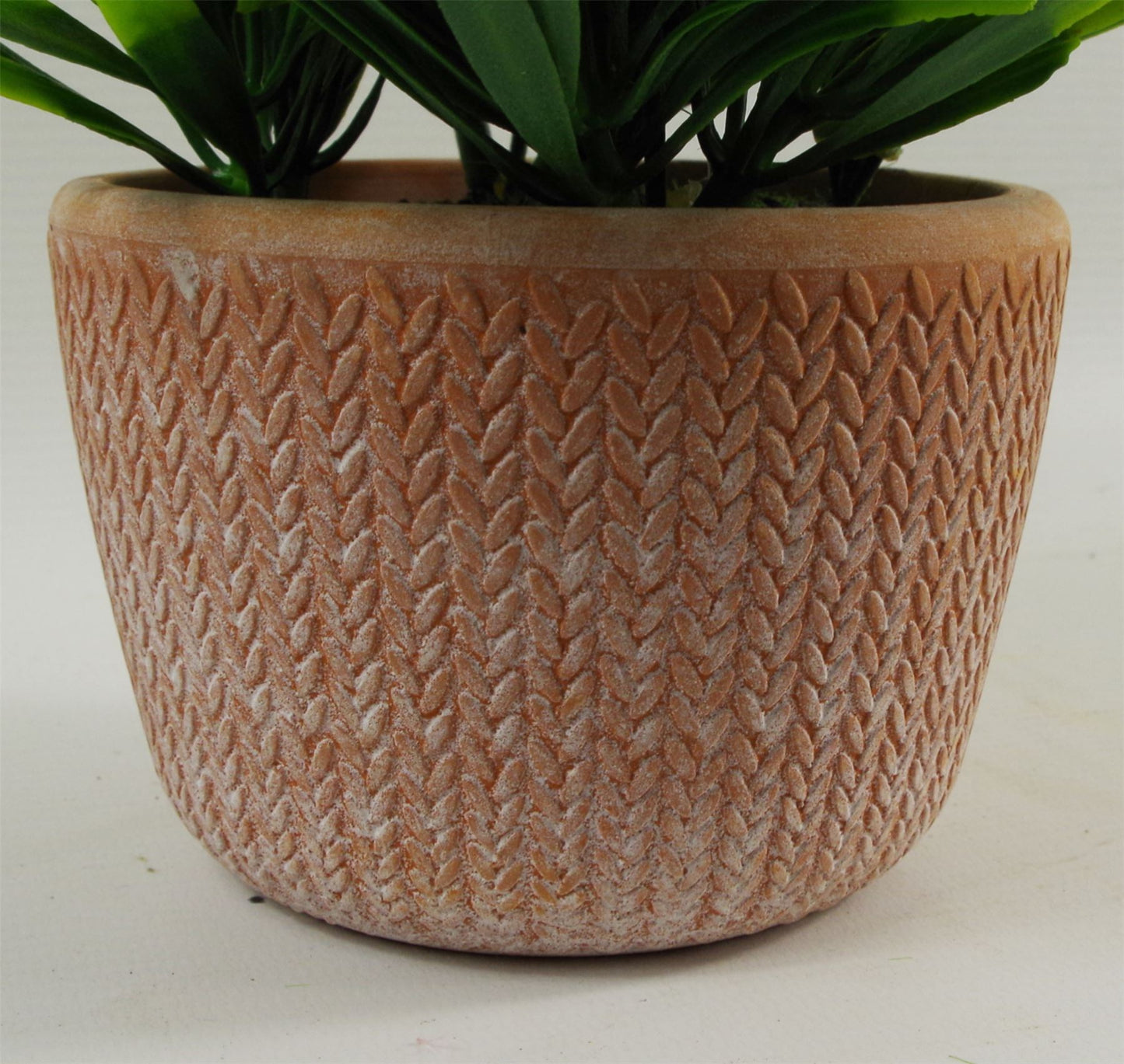 22cm Artificial Honey Plant Light Green in Terracotta Pot – image 2