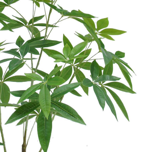 120cm Artificial Money Plant Pachira Realistic Faux Tree – image 2