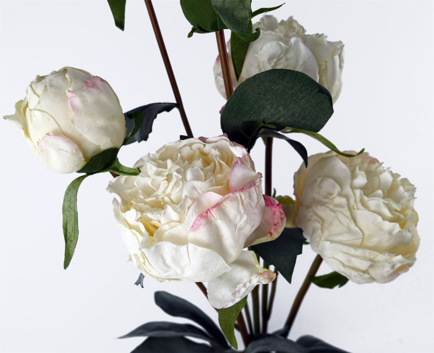 6 x 55cm Cream Peony Artificial Flower Stems 24 flowers 18 buds