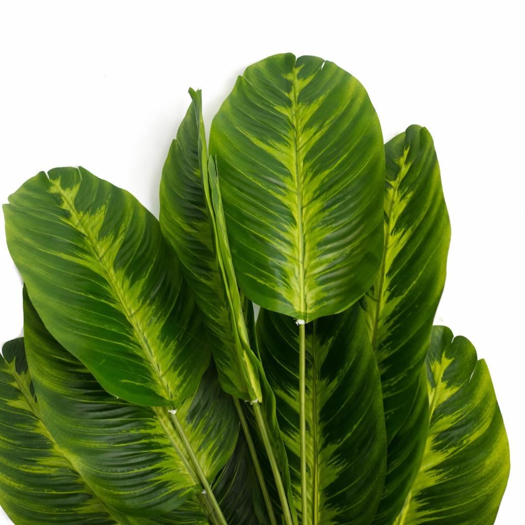 Pack of 6 x 65cm Artificial Dieffenbachia Style Stem Plant Large Faux Green Foliage Arrangement