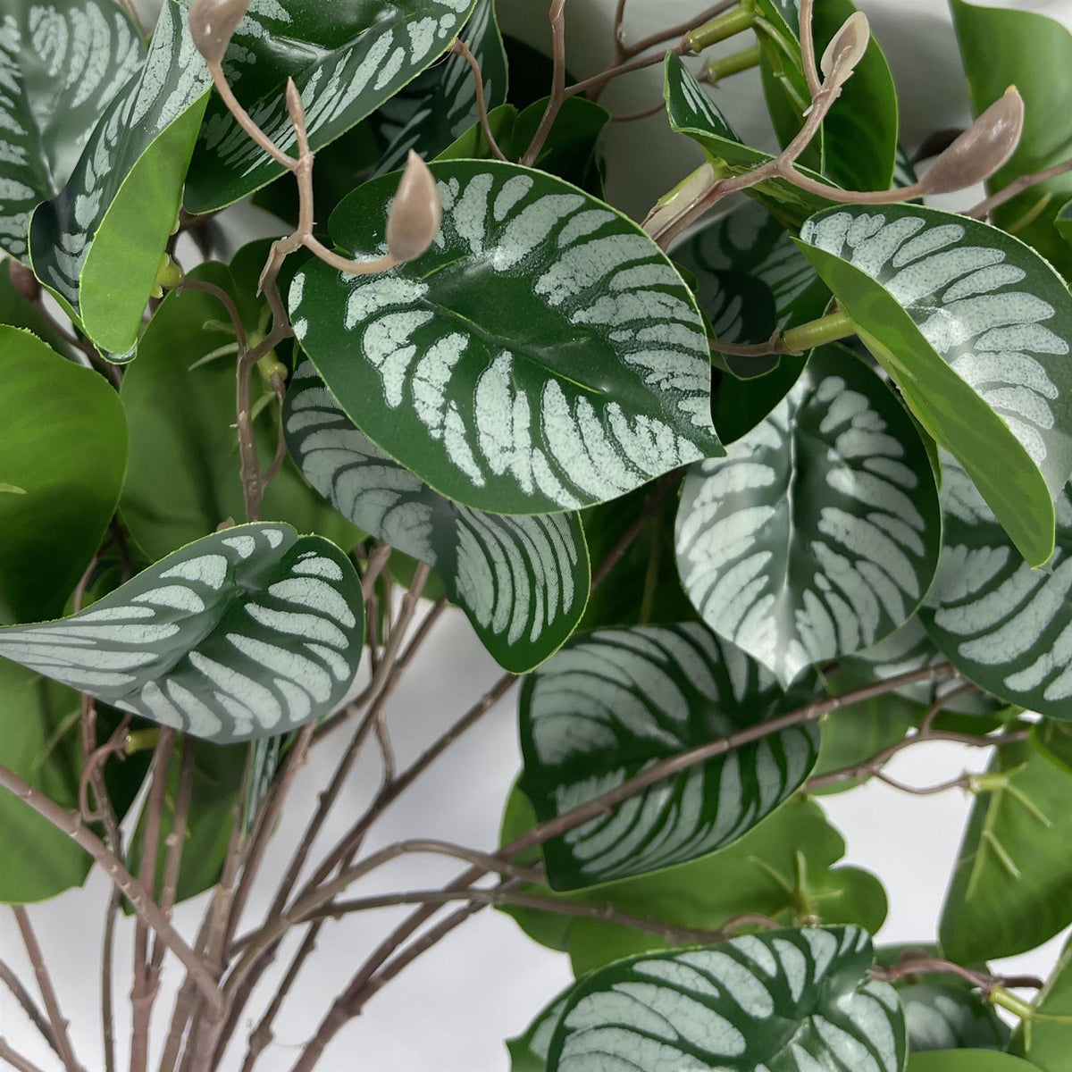 Pack of 6 x 70cm Artificial Zebra Foliage