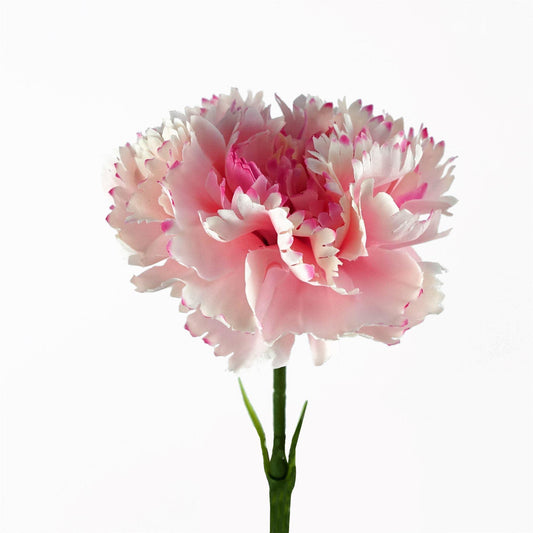 Pack of 6 x 57cm Pink Carnation Artificial Flowers