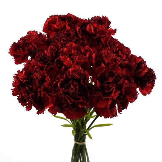 Pack of 12 x 57cm Red Carnation Artificial Flowers