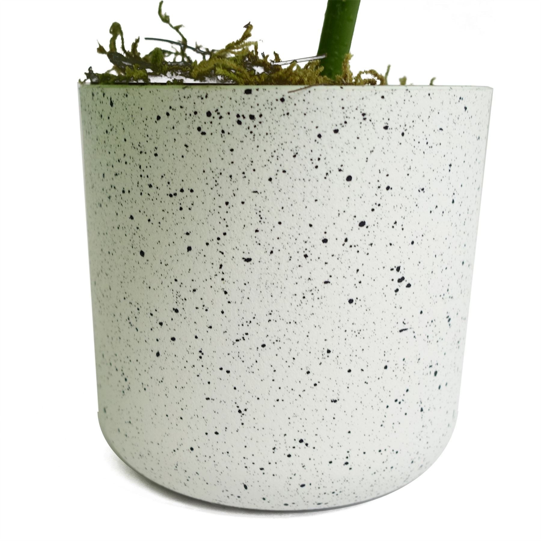 30cm Artificial Green Potted Monstera Trailing Plant – image 4