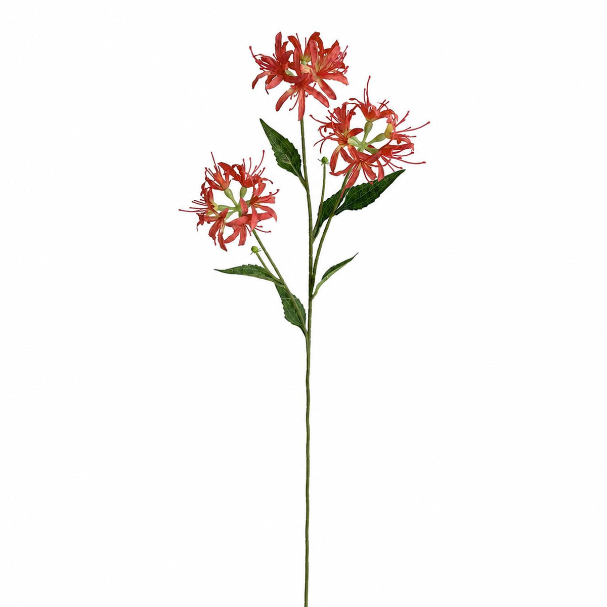 Pack of 6 x 72cm Artificial Coral Spider Lily Stems