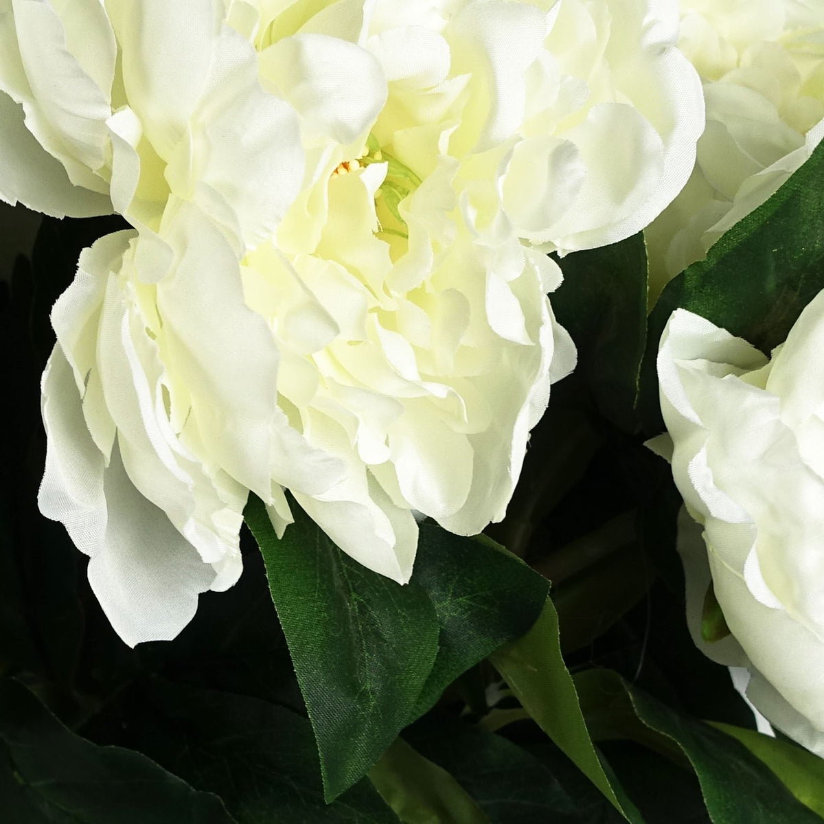 Pack of 6 x 80cm Artificial Cream Peony Stem