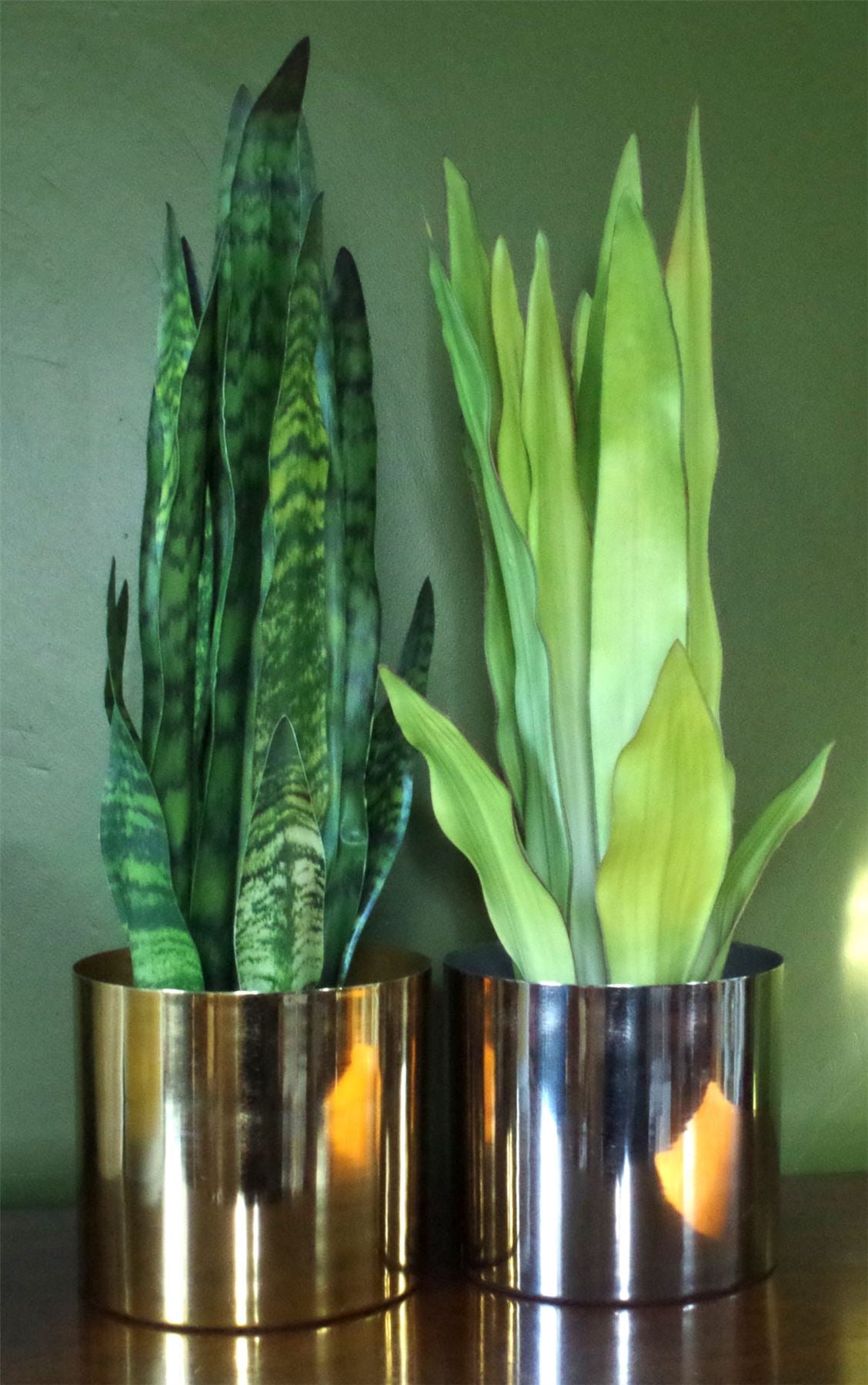 Leaf Planter Plant Pot with Polished Gold Finish 20 x 18cm GoldGold