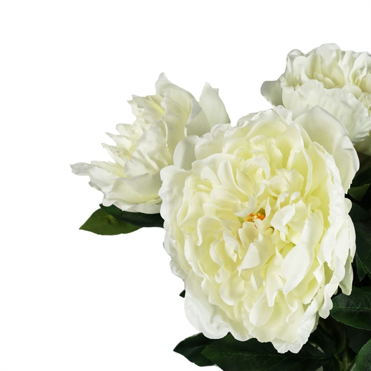 Pack of 6 x 80cm Artificial Cream Peony Stem