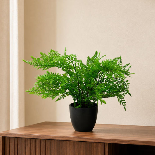 30cm Artificial Potted Southern Wood Fern Black Pot