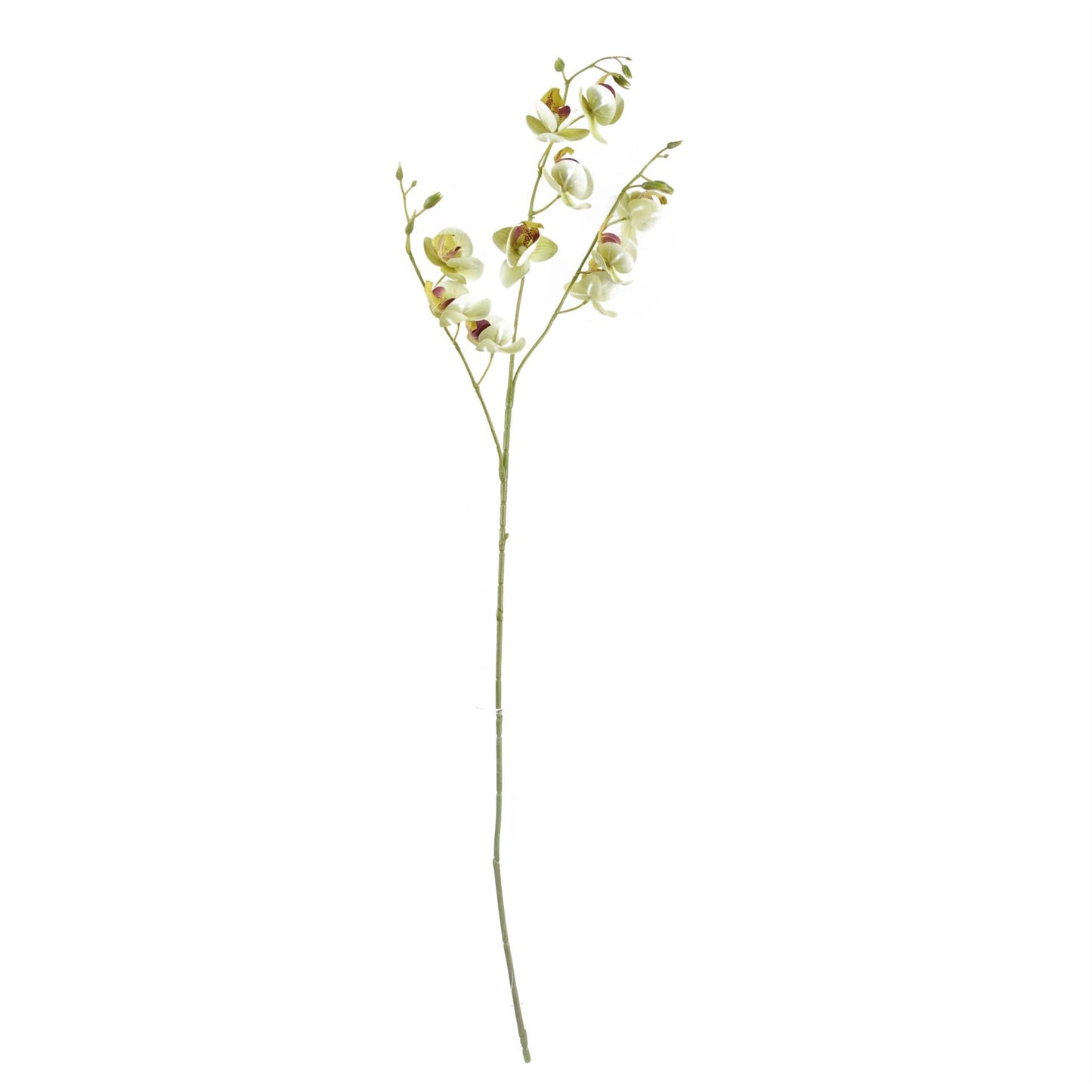 65cm Artificial Mixed Wild Orchid and Ferns Glass Vase