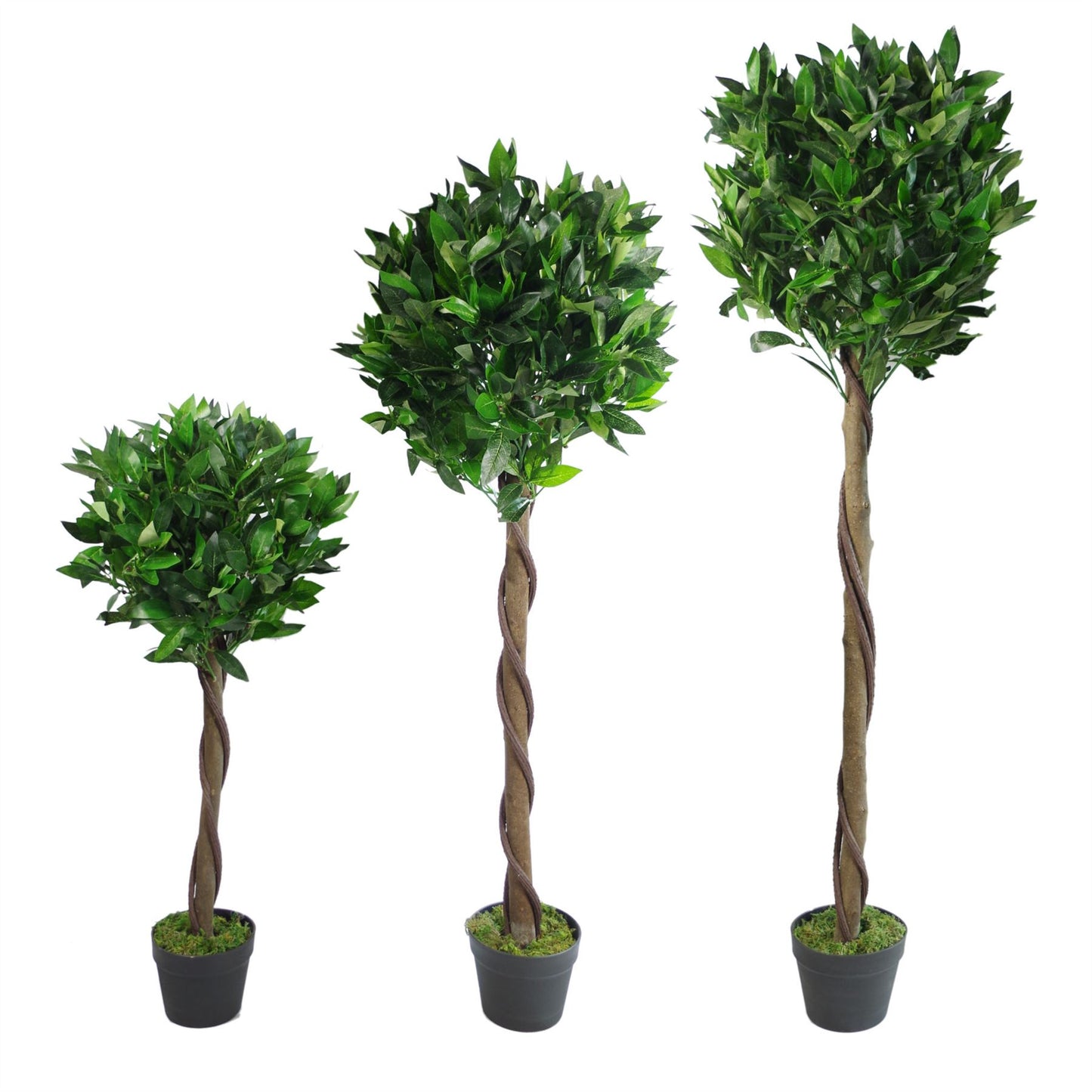 120cm Twist Natural Trunk Artificial Topiary Bay Laurel Ball Tree