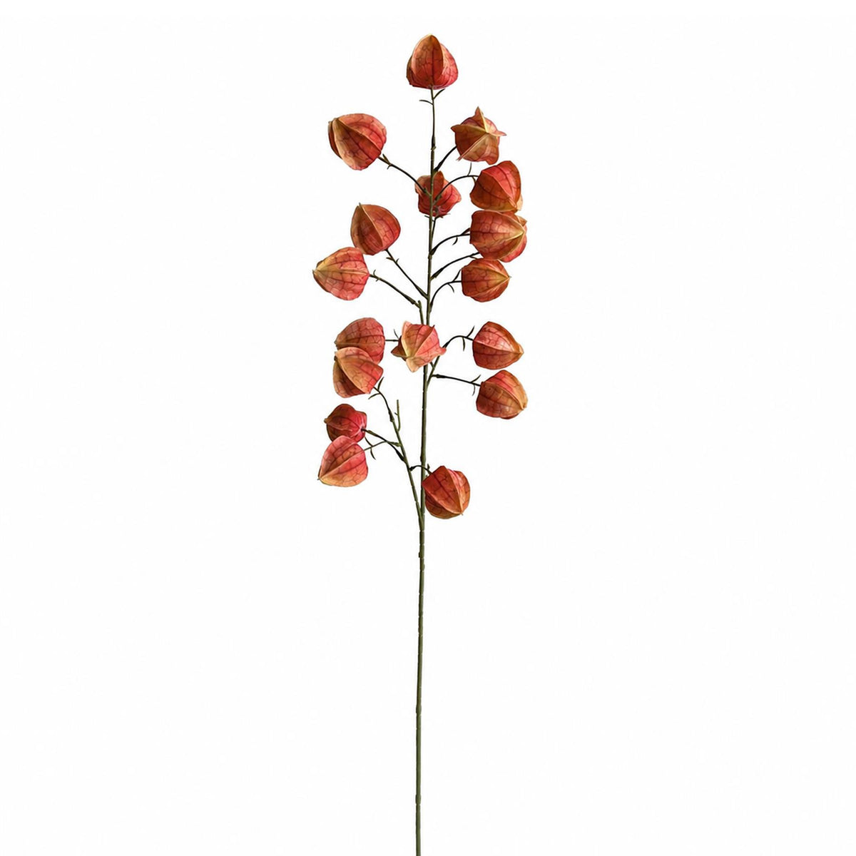 100cm Artificial Orange Chinese Lantern Physalis Spray