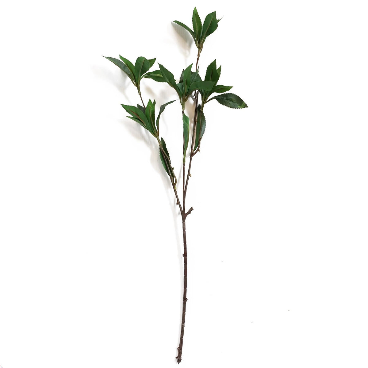 Pack of 6 x 55cm Artificial Laurel Leaf Spray Stem