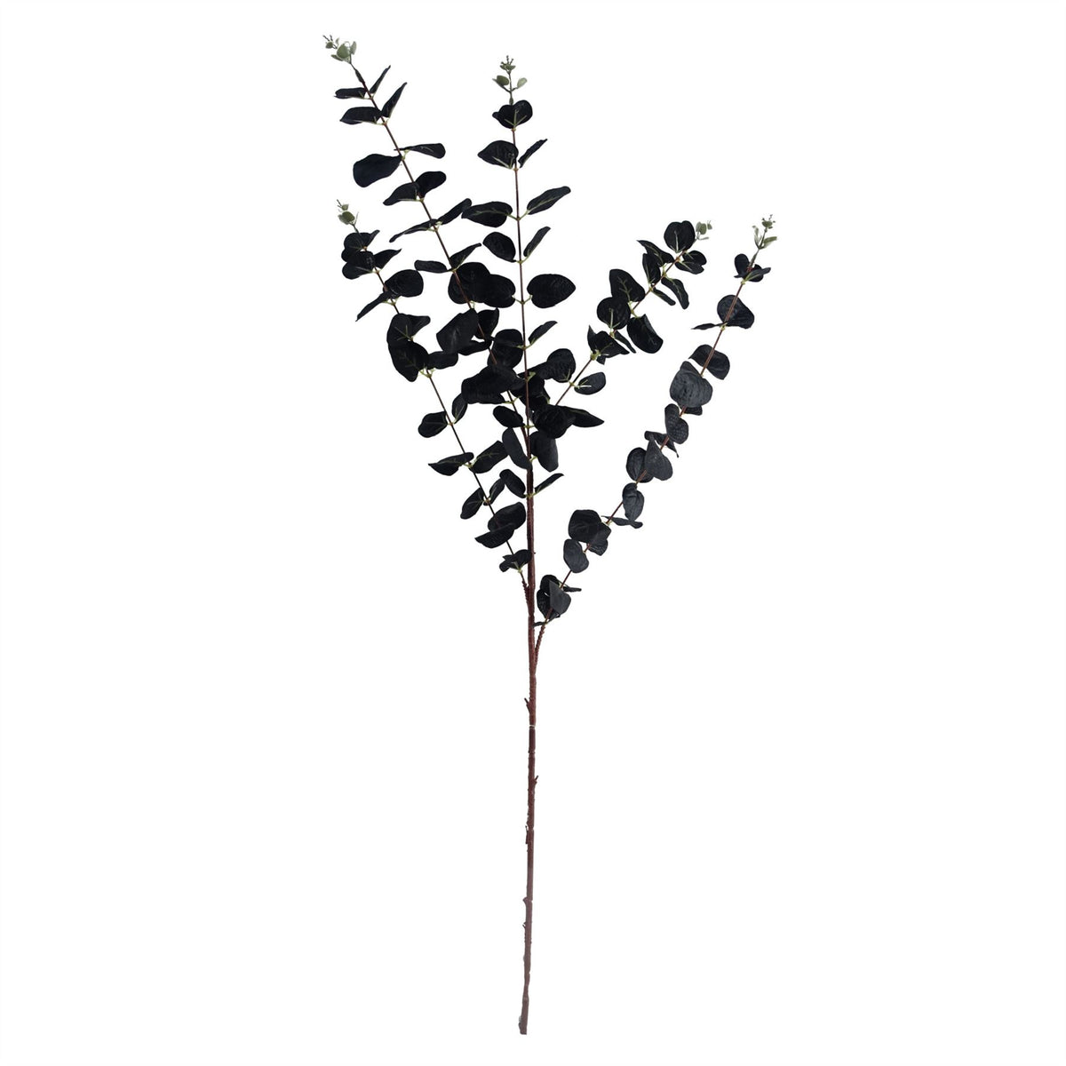 Pack of 6 x 80cm Black Eucalyptus Foliage Stem
