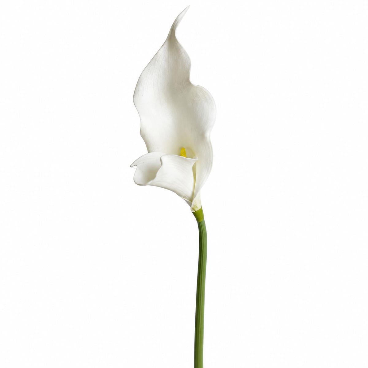 Pack of 6 x 70cm Artificial White Calla Lily Stems