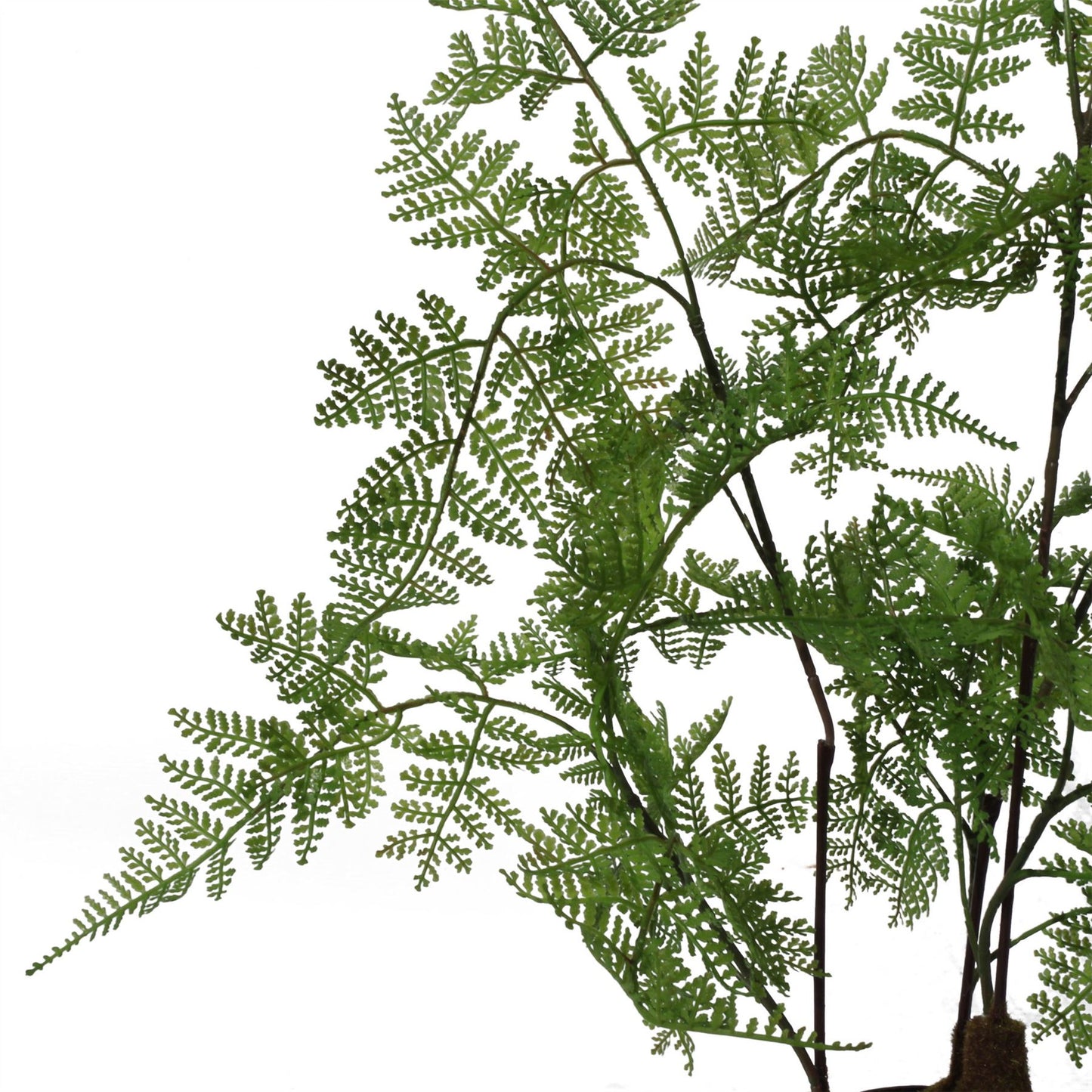 Artificial Natural Moss Base Fern Foliage Plant 60cm