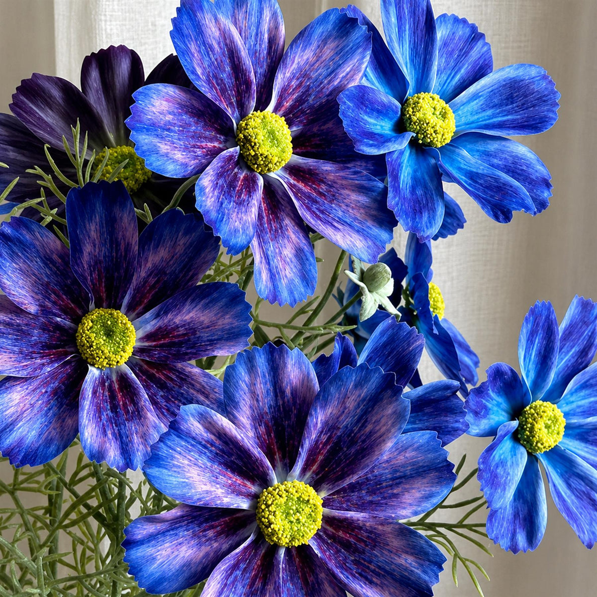 63cm Real Touch Artificial Purple Cosmos Spray - 4 Flowers