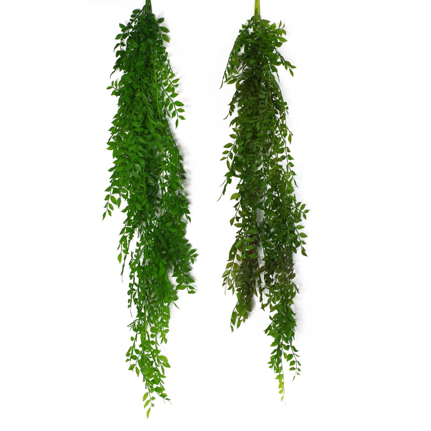 100cm Artificial Hanging String of Pearls Fern Plant Light Green
