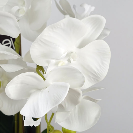 Artificial 60cm Pure White Orchid with Ceramic Bubble Planter