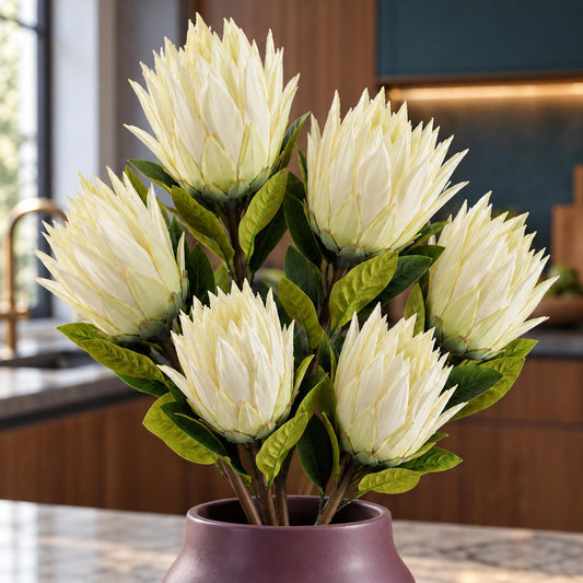 Pack of 6 x 65cm Protea Sugarbush Flower Stem - White