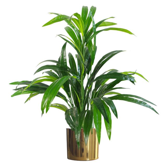 Leaf Planter Plant Pot with Polished Gold Finish 20 x 18cm GoldGold