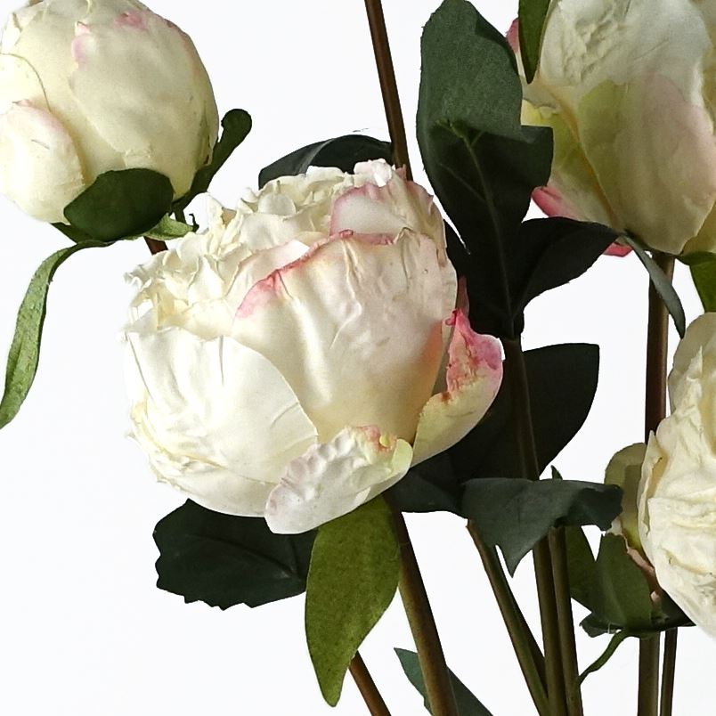 6 x 55cm Cream Peony Artificial Flower Stems 24 flowers 18 buds