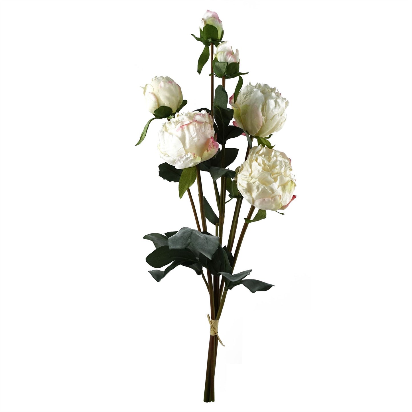 6 x 55cm Cream Peony Artificial Flower Stems 24 flowers 18 buds