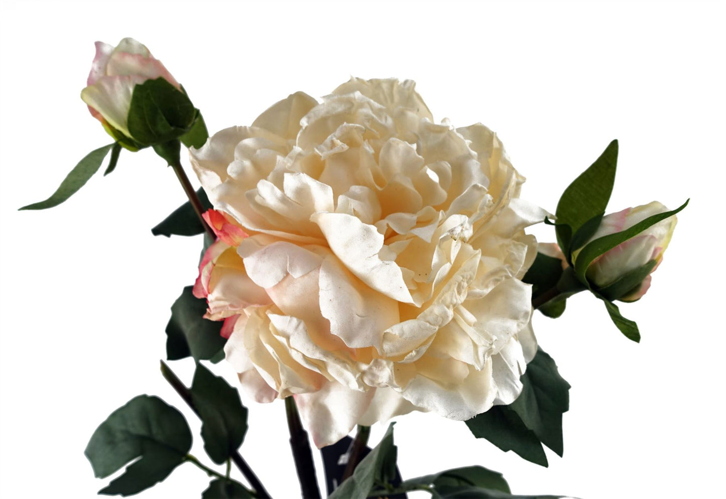 6 x 60cm Peony Artificial Flower Cream 6 flowers 18 buds