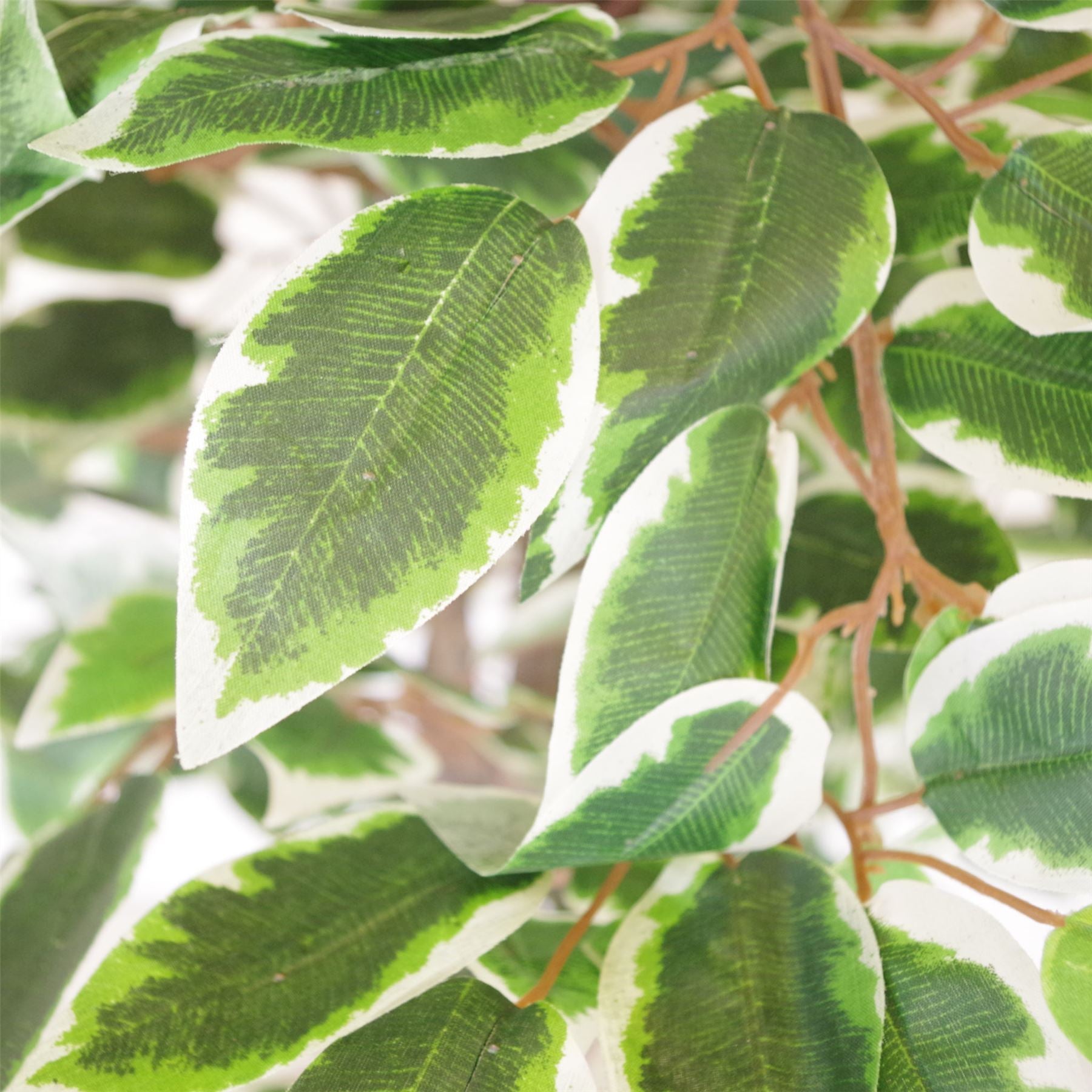 130cm LARGE White Edge Ficus Artificial Plant Tree Copper Planter – image 2