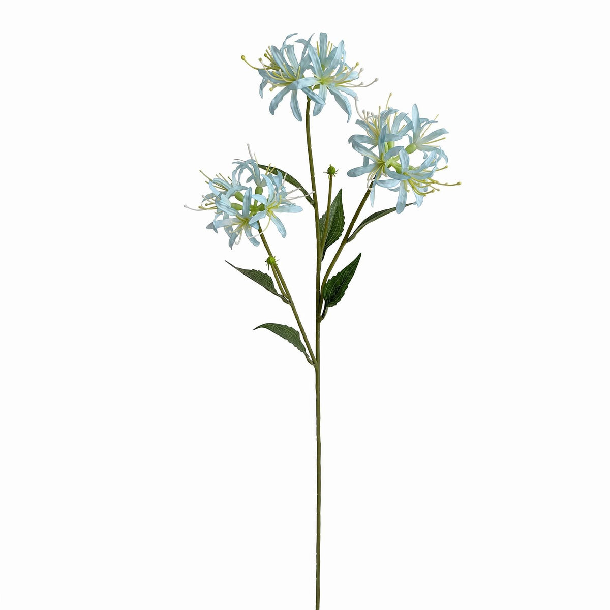 Pack of 6 x 72cm Artificial Light Blue Spider Lily Stems